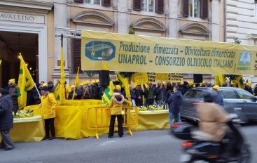 Olivicoltori in protesta: “Salviamo il nostro olio da contraffazione, concorrenza e cambiamenti climatici”